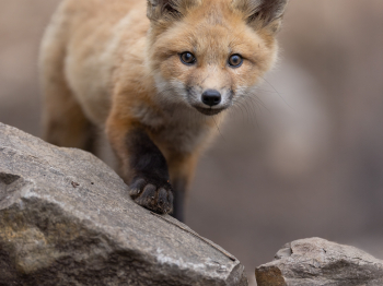 B246673-Modifier-copie-2