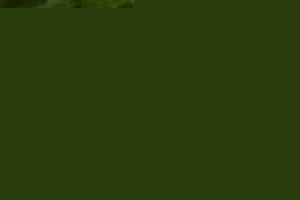 5PM2789-Modifier-copie-2