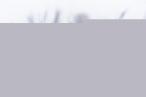 5PM4933-Modifier-copie-2