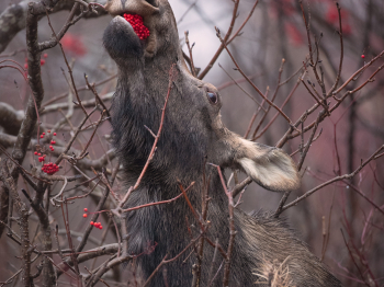 02I3773-Modifier-copie