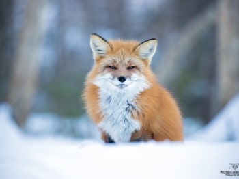 02I9522-Modifier-2-copie