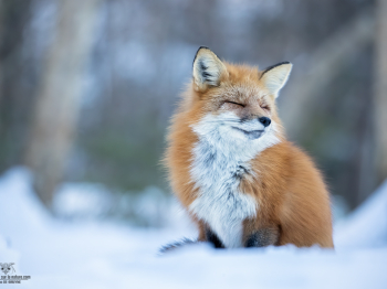 02I9545-Modifier-copie