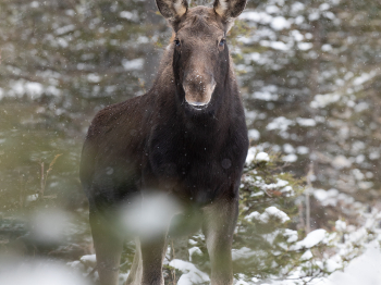 5D4_2707-Modifier-copie-2