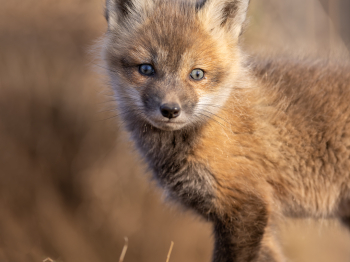 5PL5407-Modifier-copie-2