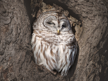 DB_6834-Modifier-Modifier-copie