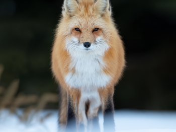 DB_6924-Modifierinsta-copie