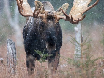 DB_2742-Modifier-copie