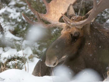 DB_3297-Modifier-copie