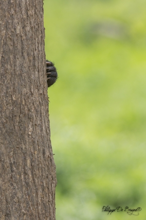 Cache cache !!
