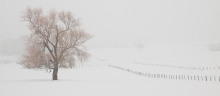 L'hiver en Savoie