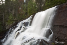 La chute