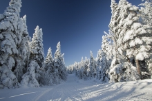 Sentier moto neige