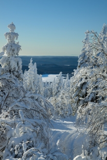 hiver