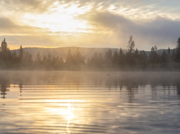 B241755-Panorama-Modifier-Modifier