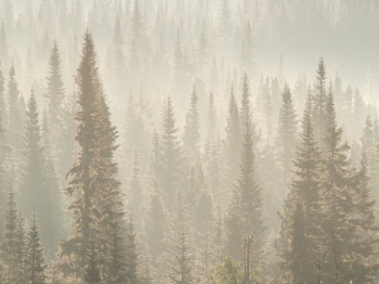 DB_1366-Panorama-Modifier