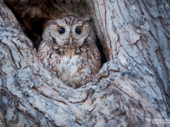 02I5350-Modifier-copie