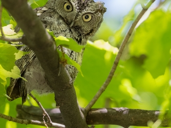 02I6424-Modifier-copie