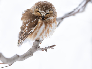 1_5TN5647-Modifier-copie-2