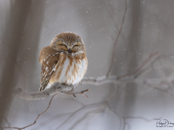 1_5TN6370-Modifier-copie-2