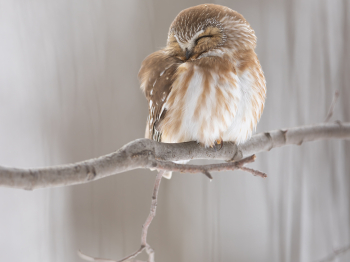 1_5TN6724-Modifier-copie-2