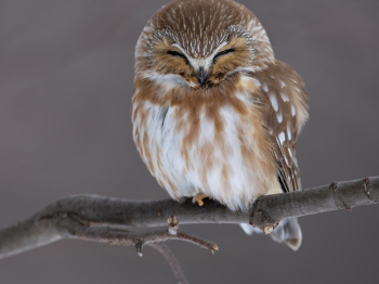 1_5TN7005-Modifier-copie-2