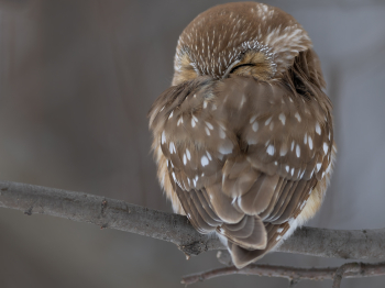 1_5TN7256-Modifier-copie-2