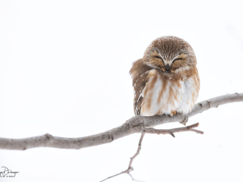 5TN5857-Modifier-copie-2