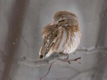 5TN6412-Modifier-copie-2