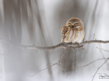 5TN6642-Modifier-copie-2