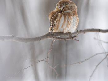 5TN6663-Modifier-copie-2