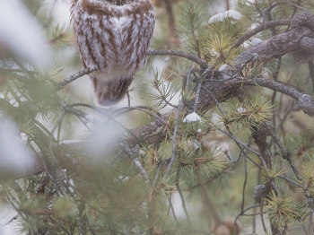 La journée 90% du temps elle dort
