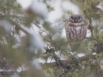 La journée 90% du temps elle dort