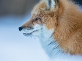 02I9579-Modifier-copie