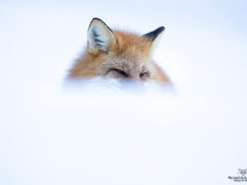 02I9616-Modifier-copie