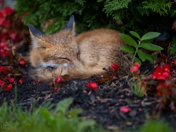 5PH0968-2-Modifier-copie-2