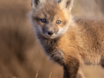 5PL5407-Modifier-copie-2