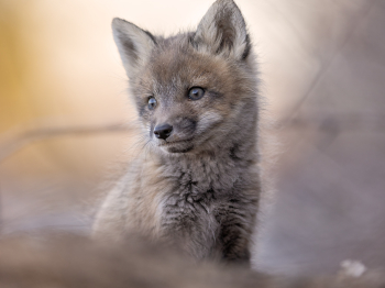 5PL7509-Modifier-copie-2