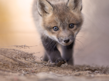 5PL7579-Modifier-copie-2