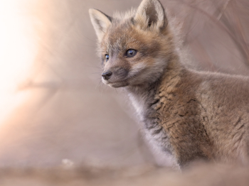 5PL7622-2-Modifier-copie-2