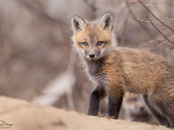 5PL7872-Modifier-copie-2