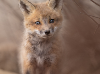 5PL9164-Modifier-copie-2