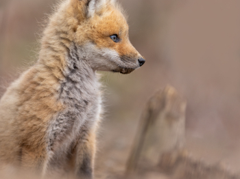 5PM0184-Modifier-copie-2