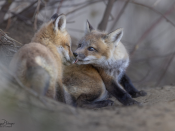 5PM1718-Modifier-copie-2