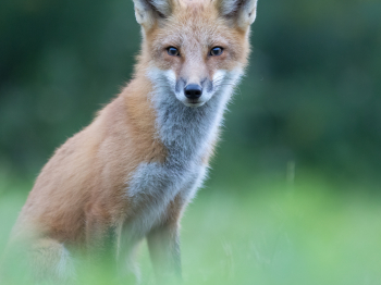 5PM1973-Modifier-copie-2