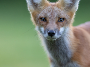 5PM5020-Modifier-copie-2