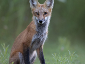 5PM5078-Modifier-copie-2