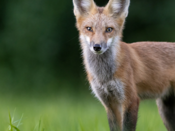 5PM5308-Modifier-copie-2