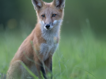 5PM6192-Modifier-copie-2