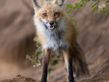 5PM7055-Modifier-copie-2