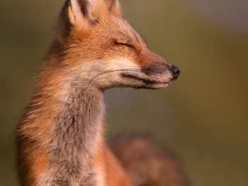 5PM7178-Modifier-copie-2